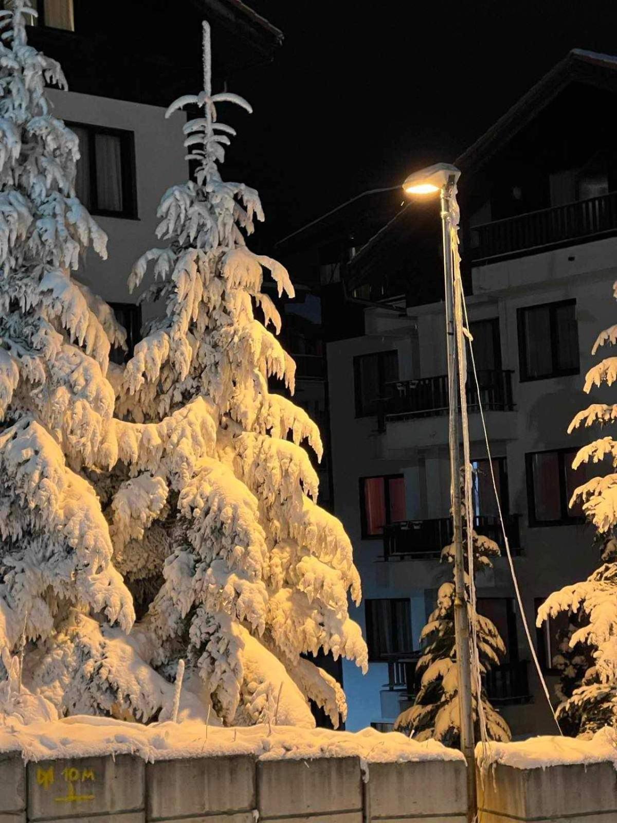 Arboro Borovets Gardens E68 Apartment Exterior foto